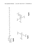 SELF COUPLING RECOMBINANT ANTIBODY FUSION PROTEINS diagram and image