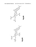 SELF COUPLING RECOMBINANT ANTIBODY FUSION PROTEINS diagram and image