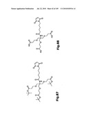 SELF COUPLING RECOMBINANT ANTIBODY FUSION PROTEINS diagram and image