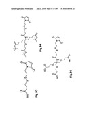 SELF COUPLING RECOMBINANT ANTIBODY FUSION PROTEINS diagram and image