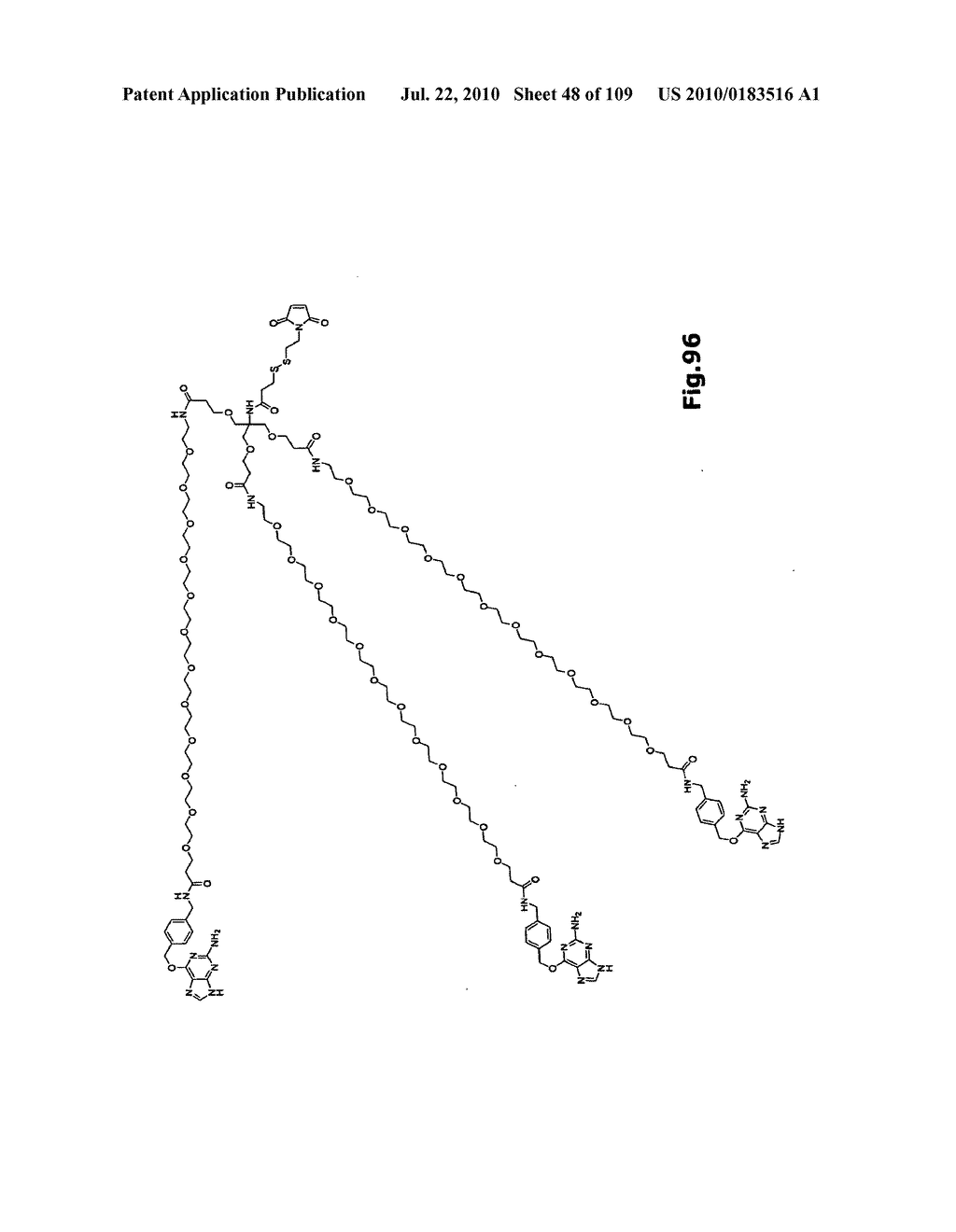 SELF COUPLING RECOMBINANT ANTIBODY FUSION PROTEINS - diagram, schematic, and image 49