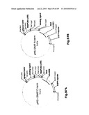 SELF COUPLING RECOMBINANT ANTIBODY FUSION PROTEINS diagram and image