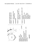 SELF COUPLING RECOMBINANT ANTIBODY FUSION PROTEINS diagram and image