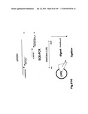 SELF COUPLING RECOMBINANT ANTIBODY FUSION PROTEINS diagram and image