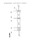 SELF COUPLING RECOMBINANT ANTIBODY FUSION PROTEINS diagram and image