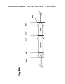 SELF COUPLING RECOMBINANT ANTIBODY FUSION PROTEINS diagram and image