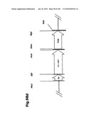 SELF COUPLING RECOMBINANT ANTIBODY FUSION PROTEINS diagram and image