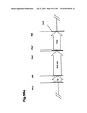 SELF COUPLING RECOMBINANT ANTIBODY FUSION PROTEINS diagram and image