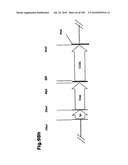 SELF COUPLING RECOMBINANT ANTIBODY FUSION PROTEINS diagram and image