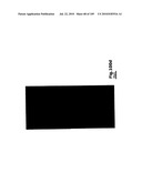 SELF COUPLING RECOMBINANT ANTIBODY FUSION PROTEINS diagram and image