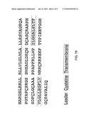 TWEAK RECEPTOR diagram and image