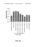 TWEAK RECEPTOR diagram and image