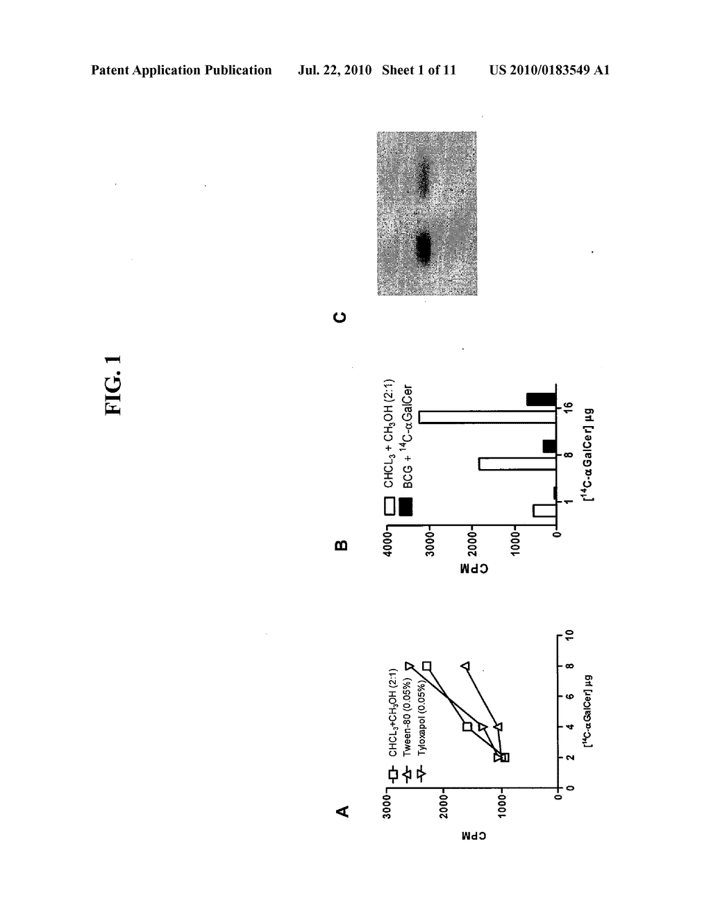 BACTERIAL VACCINES WITH CELL WALL-ASSOCIATED CERAMIDE-LIKE GLYCOLIPIDS AND USES THEREOF - diagram, schematic, and image 02