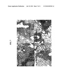 BACTERIAL VACCINES WITH CELL WALL-ASSOCIATED CERAMIDE-LIKE GLYCOLIPIDS AND USES THEREOF diagram and image