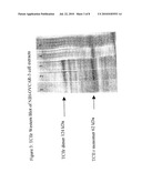 Composition and Methods for Affecting Metallocorrinoid Uptake diagram and image