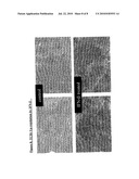 Composition and Methods for Affecting Metallocorrinoid Uptake diagram and image