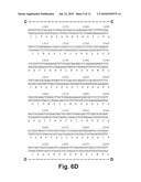 MEMORY ENHANCING PROTEIN diagram and image