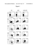 Induction of Tolerogenic Phenotype in Mature Dendritic Cells diagram and image