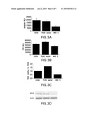 METHODS OF USING MEVALONATE DECARBOXYLASE (MVD) ANTAGONISTS diagram and image