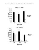 METHODS OF USING MEVALONATE DECARBOXYLASE (MVD) ANTAGONISTS diagram and image