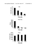 METHODS OF USING MEVALONATE DECARBOXYLASE (MVD) ANTAGONISTS diagram and image