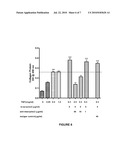 COMPOSITIONS AND METHODS FOR REGULATING COLLAGEN AND SMOOTH MUSCLE ACTIN EXPRESSION BY SERPINE2 diagram and image