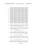 Fully human antibodies against human 4-1BB diagram and image