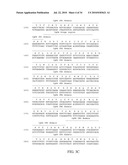 Fully human antibodies against human 4-1BB diagram and image