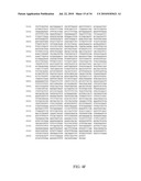 Fully human antibodies against human 4-1BB diagram and image