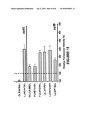 Novel human cytomegalovirus (HCMV) cytotoxic T cell epitopes, polyepitopes, compositions comprising same and diagnostic and prophylactic and therapeutic uses therefor diagram and image