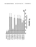 Novel human cytomegalovirus (HCMV) cytotoxic T cell epitopes, polyepitopes, compositions comprising same and diagnostic and prophylactic and therapeutic uses therefor diagram and image