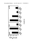 Novel human cytomegalovirus (HCMV) cytotoxic T cell epitopes, polyepitopes, compositions comprising same and diagnostic and prophylactic and therapeutic uses therefor diagram and image