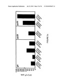 Novel human cytomegalovirus (HCMV) cytotoxic T cell epitopes, polyepitopes, compositions comprising same and diagnostic and prophylactic and therapeutic uses therefor diagram and image