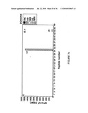 Novel human cytomegalovirus (HCMV) cytotoxic T cell epitopes, polyepitopes, compositions comprising same and diagnostic and prophylactic and therapeutic uses therefor diagram and image