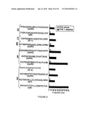 Novel human cytomegalovirus (HCMV) cytotoxic T cell epitopes, polyepitopes, compositions comprising same and diagnostic and prophylactic and therapeutic uses therefor diagram and image