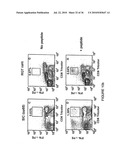 Novel human cytomegalovirus (HCMV) cytotoxic T cell epitopes, polyepitopes, compositions comprising same and diagnostic and prophylactic and therapeutic uses therefor diagram and image