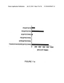 Novel human cytomegalovirus (HCMV) cytotoxic T cell epitopes, polyepitopes, compositions comprising same and diagnostic and prophylactic and therapeutic uses therefor diagram and image