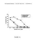 Novel human cytomegalovirus (HCMV) cytotoxic T cell epitopes, polyepitopes, compositions comprising same and diagnostic and prophylactic and therapeutic uses therefor diagram and image