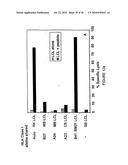 Novel human cytomegalovirus (HCMV) cytotoxic T cell epitopes, polyepitopes, compositions comprising same and diagnostic and prophylactic and therapeutic uses therefor diagram and image