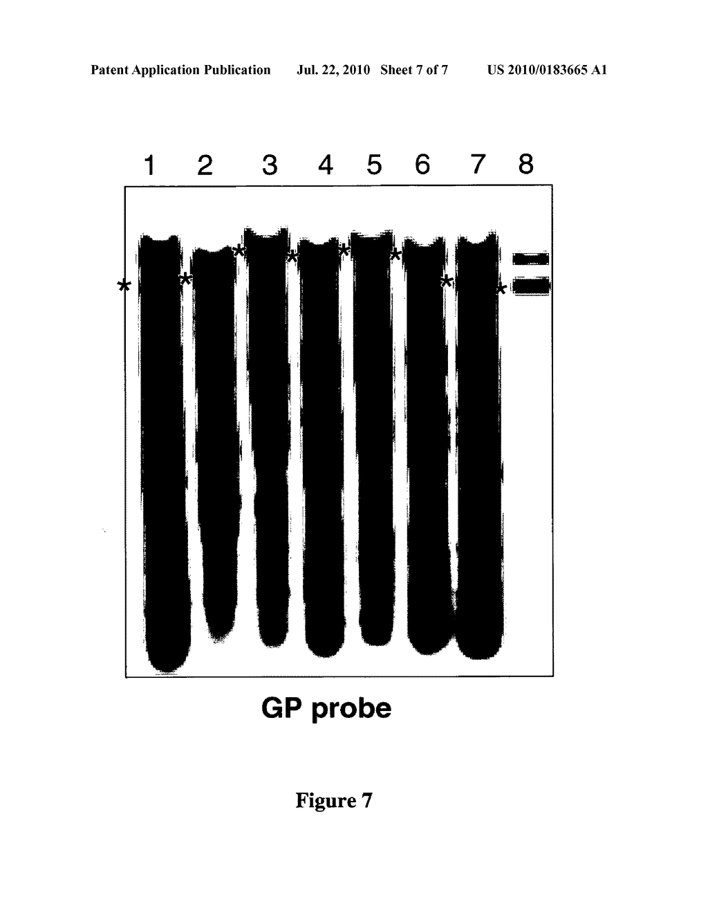 PROMOTERLESS CASSETTES FOR EXPRESSION OF ALPHA VIRUS STRUCTURAL PROTEINS - diagram, schematic, and image 08