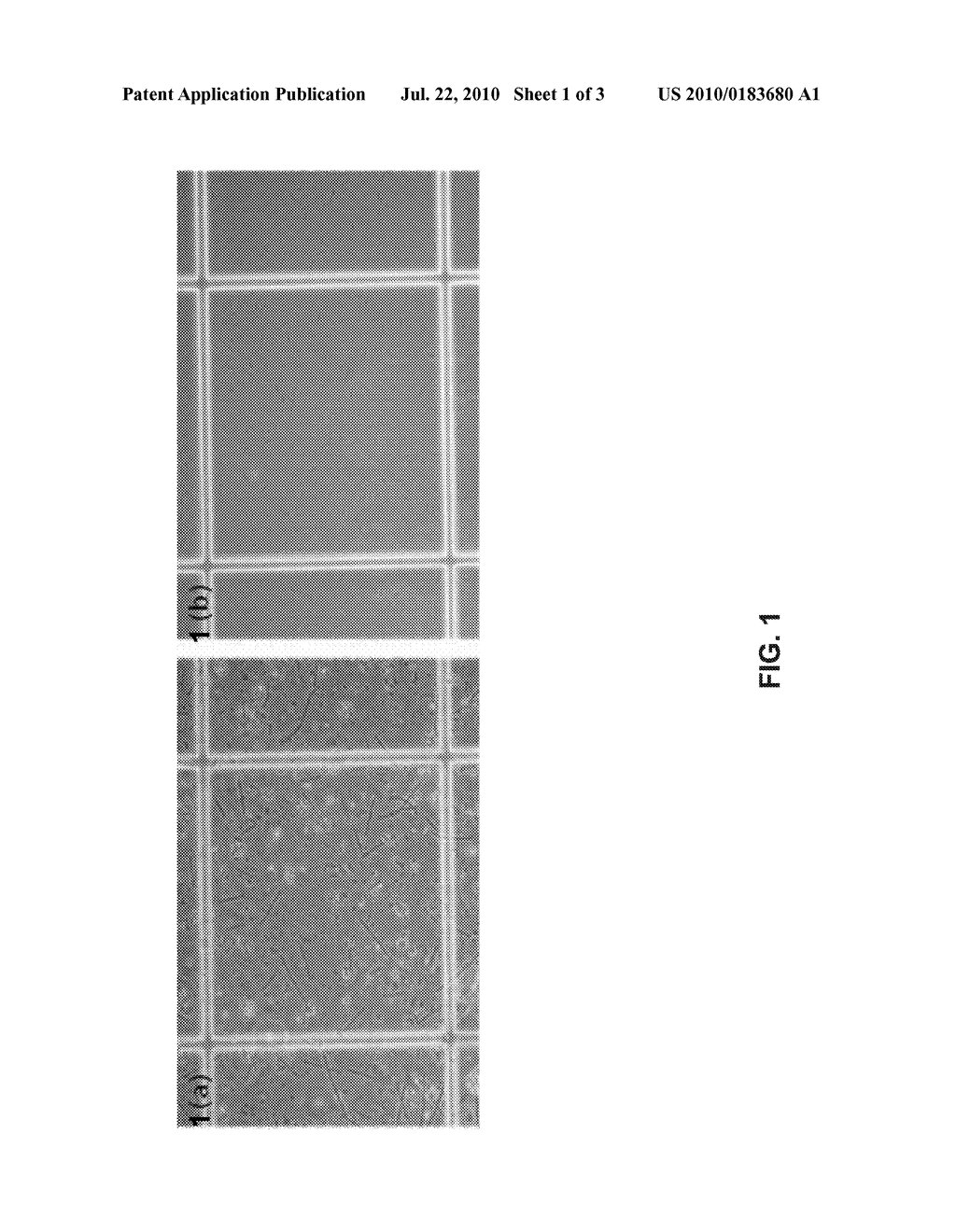 Purified Plasmodium and Vaccine Compositions - diagram, schematic, and image 02