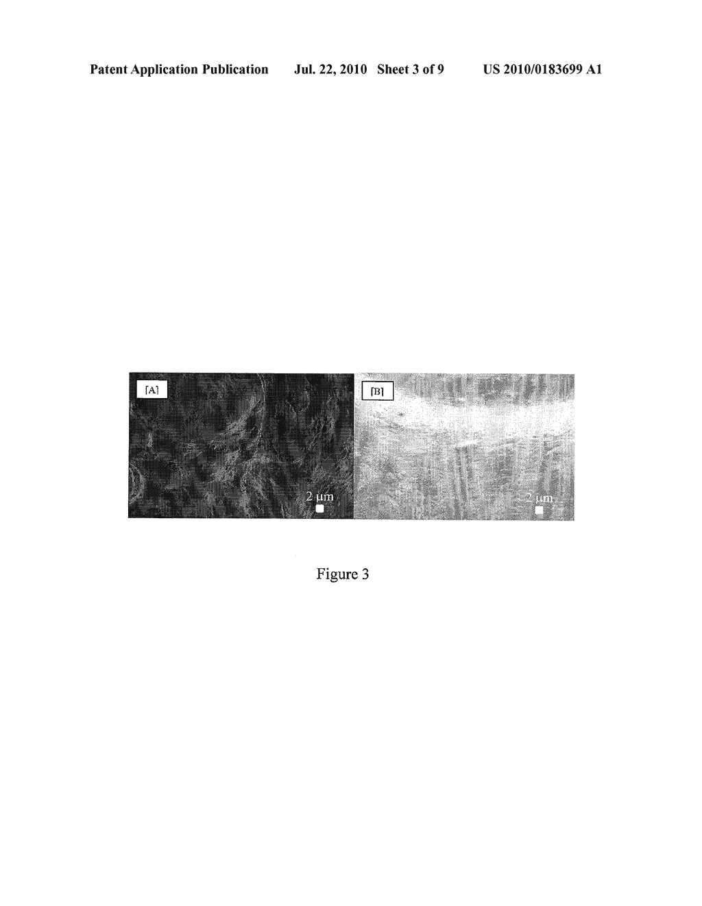 COMPOSITIONS AND METHODS TO CROSS LINK POLYMER FIBERS - diagram, schematic, and image 04