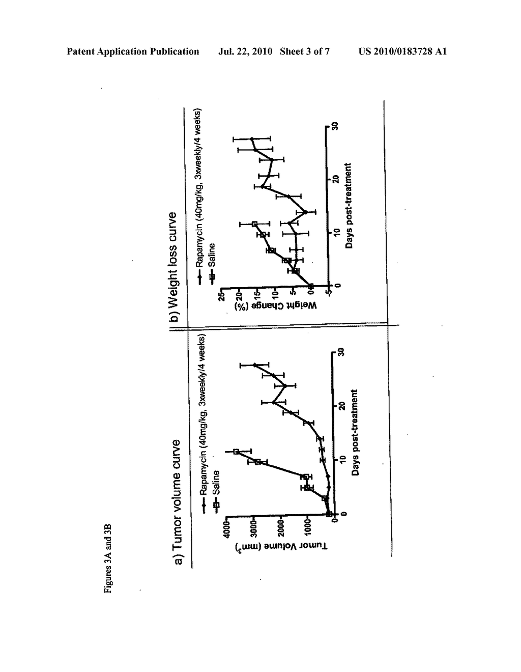 NANOPARTICLE COMPRISING RAPAMYCIN AND ALBUMIN AS ANTICANCER AGENT - diagram, schematic, and image 04