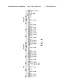 Method of Producing Dried Distiller s Grain with Solubles Agglomerated Particles diagram and image