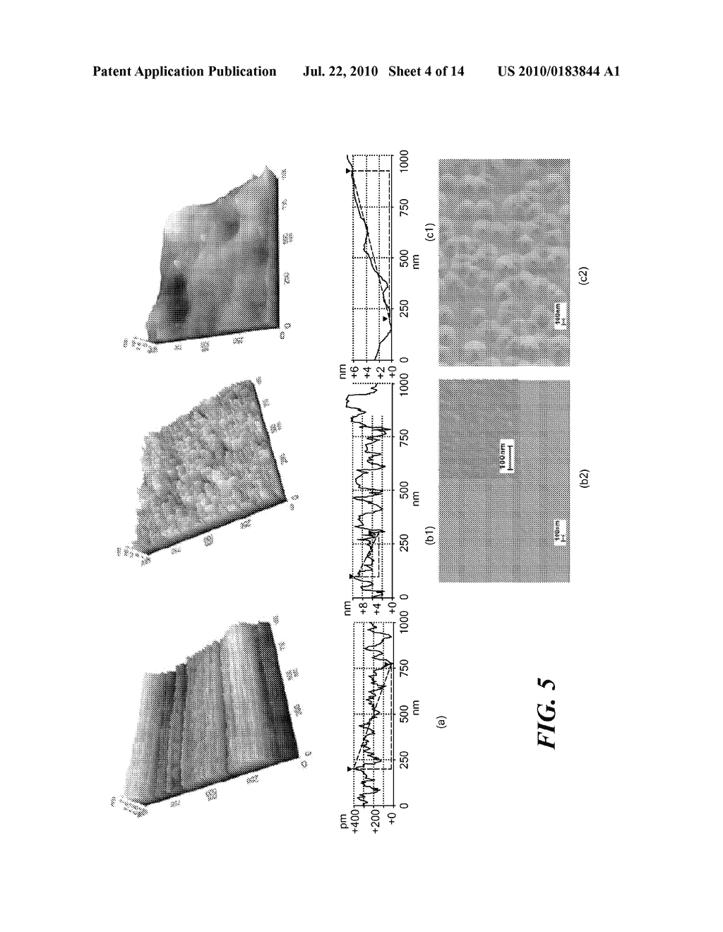 HIGHLY ORGANIZED SINGLE-WALLED CARBON NANOTUBE NETWORKS AND METHOD OF MAKING USING TEMPLATE GUIDED FLUIDIC ASSEMBLY - diagram, schematic, and image 05