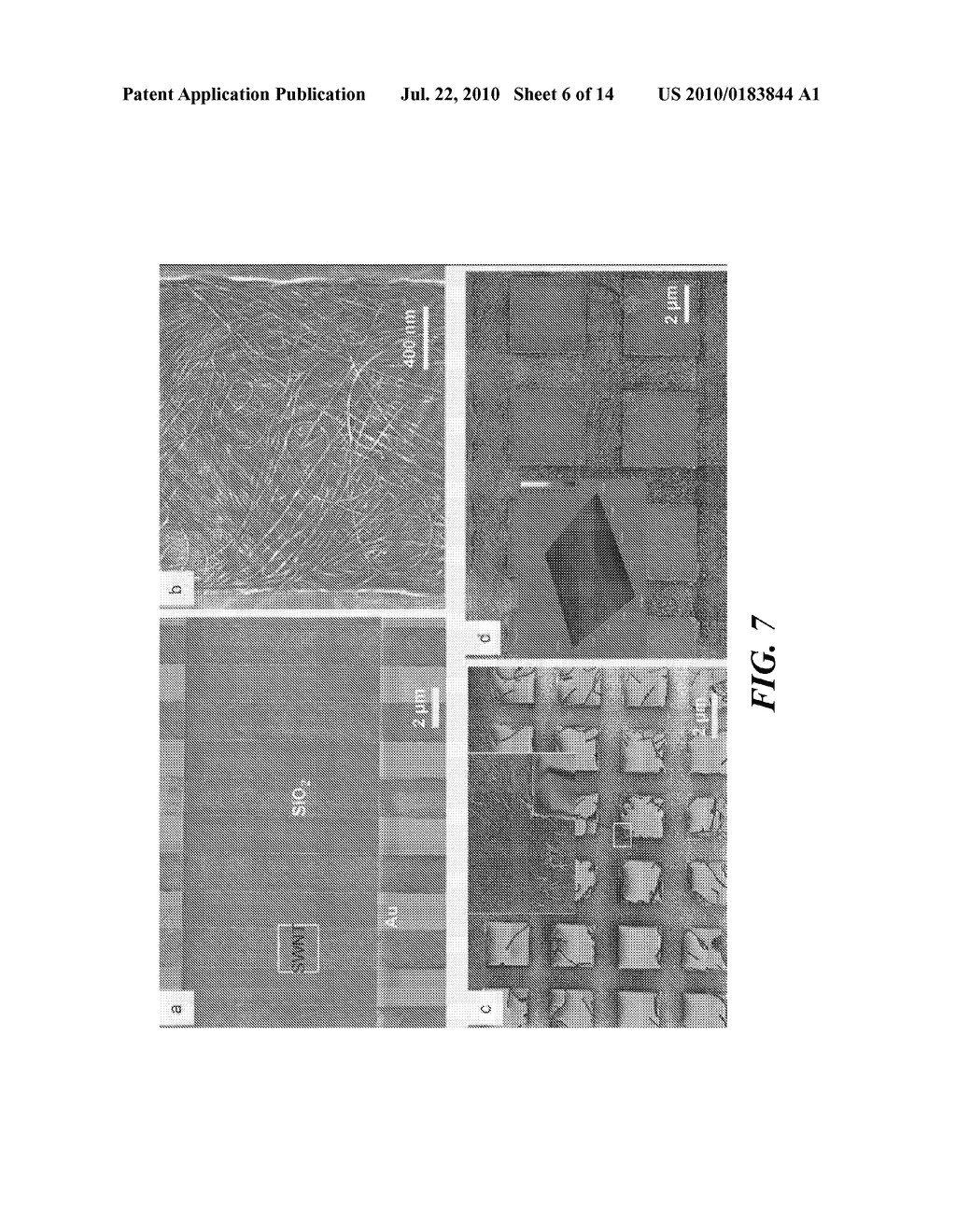 HIGHLY ORGANIZED SINGLE-WALLED CARBON NANOTUBE NETWORKS AND METHOD OF MAKING USING TEMPLATE GUIDED FLUIDIC ASSEMBLY - diagram, schematic, and image 07