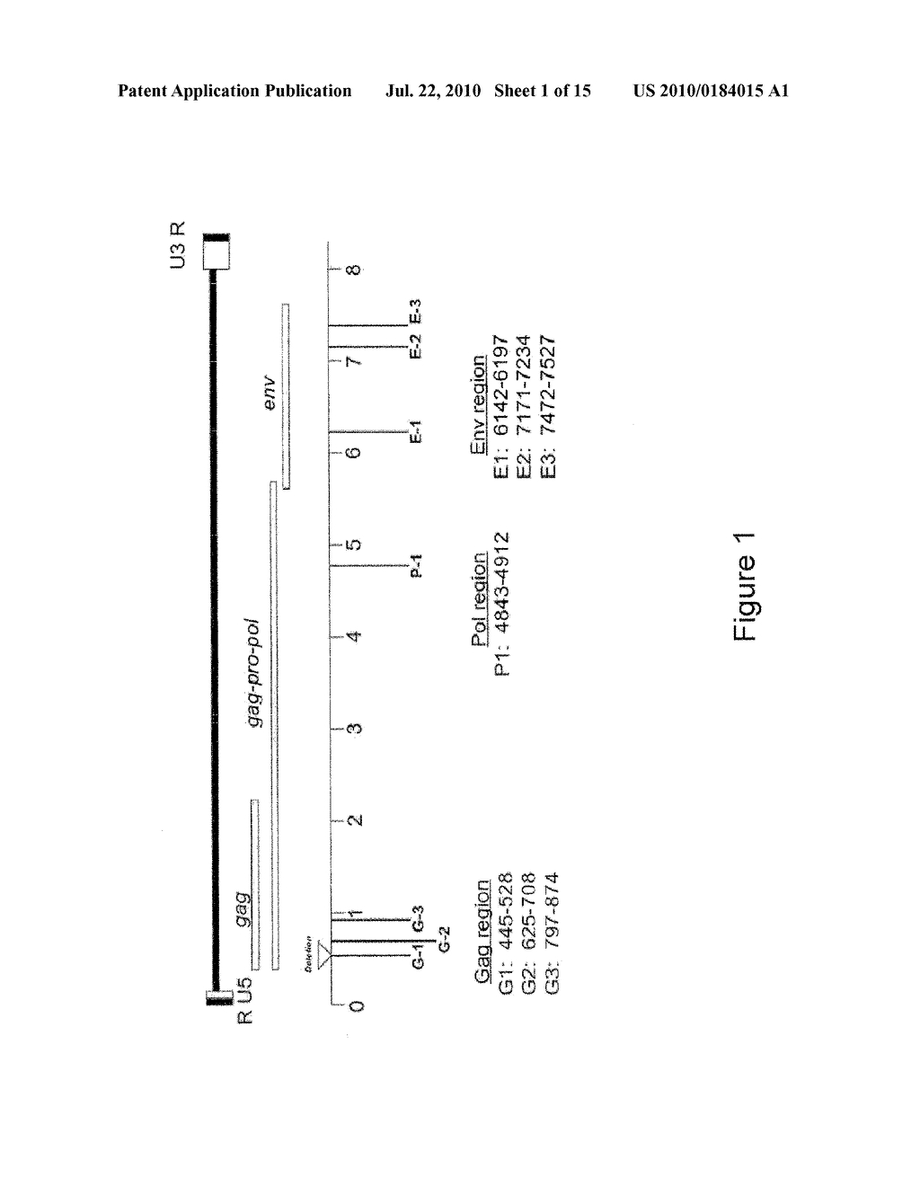 METHOD FOR DETECTION OF XMRV - diagram, schematic, and image 02