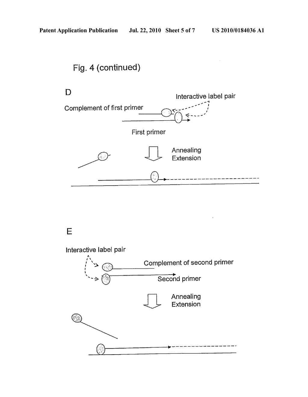 METHODS FOR DETECTING NUCLEIC ACID SEQUENCES - diagram, schematic, and image 06