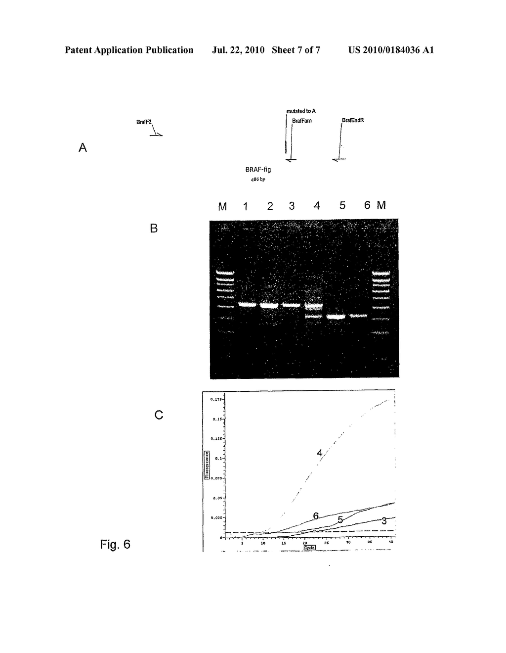 METHODS FOR DETECTING NUCLEIC ACID SEQUENCES - diagram, schematic, and image 08