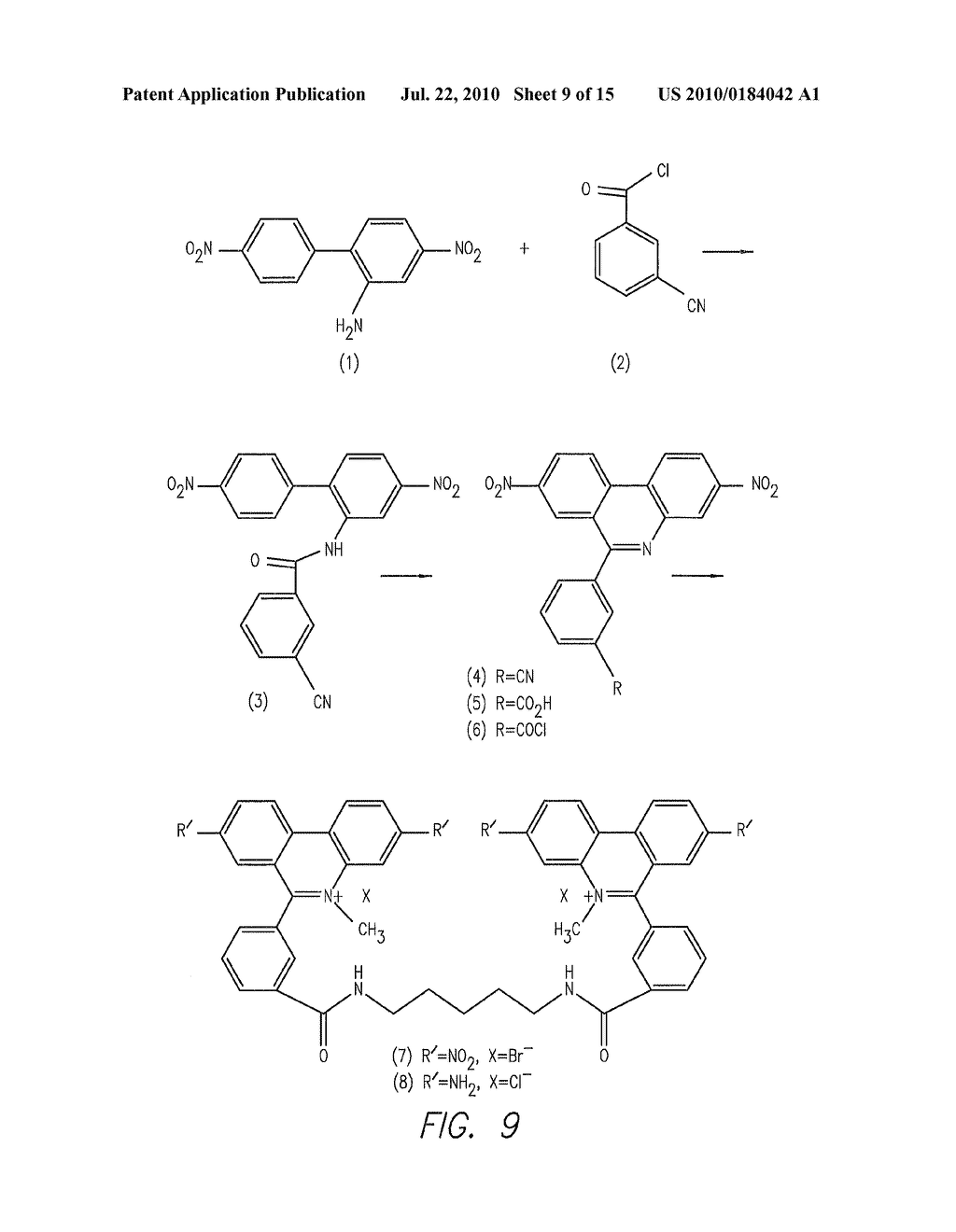 Processes for quantitative or qualitative detection of single-stranded nucleic acids - diagram, schematic, and image 10